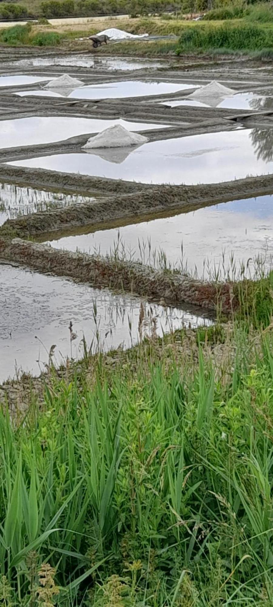 Appartement Les Pieds Dans L'Eau Batz-sur-Mer Exterior foto